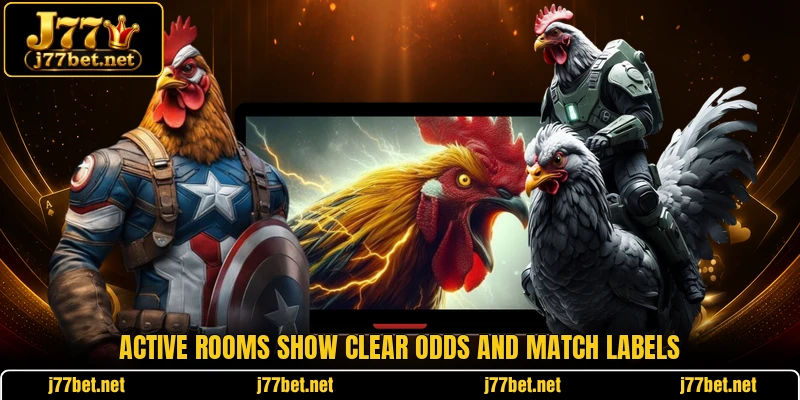 Active rooms show clear odds and match labels Active rooms show clear odds and match labels