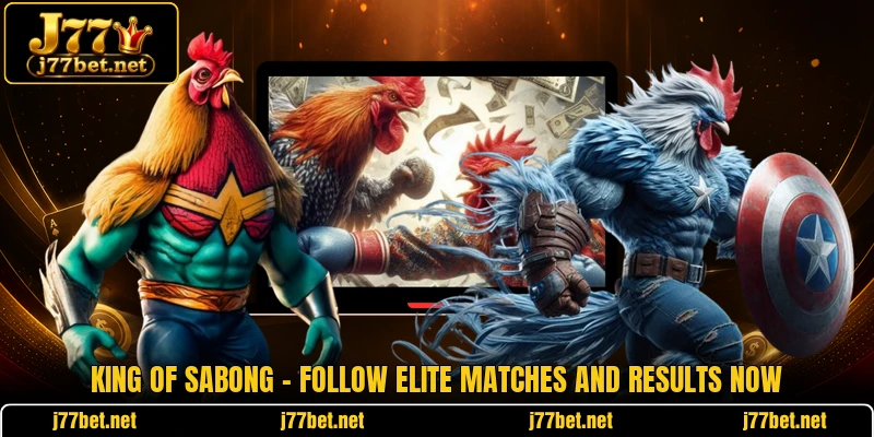 King Of Sabong - Follow Elite Matches And Results Now