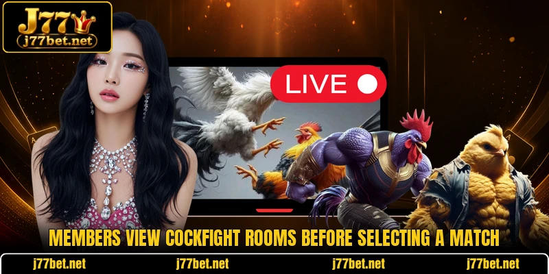 Members view cockfight rooms before selecting a match